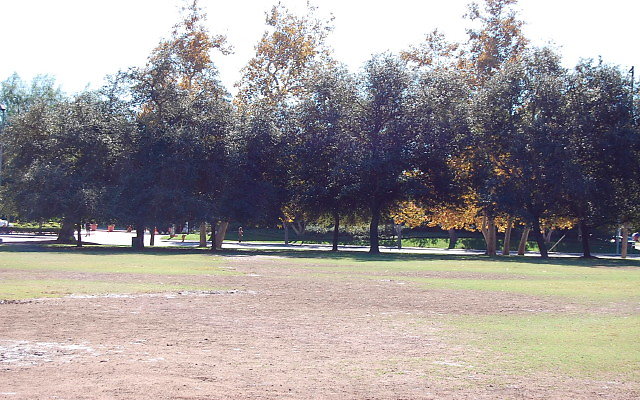 DSC 0101