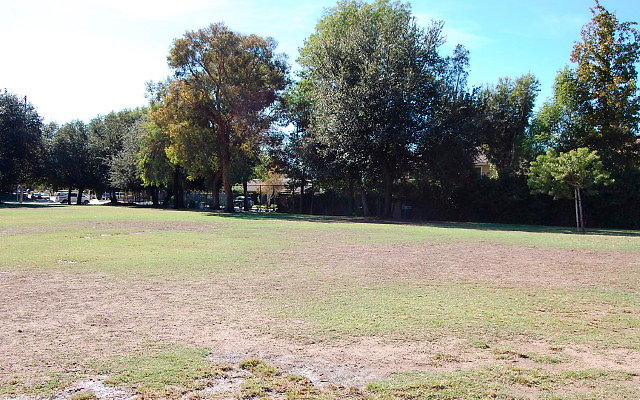 DSC 0099