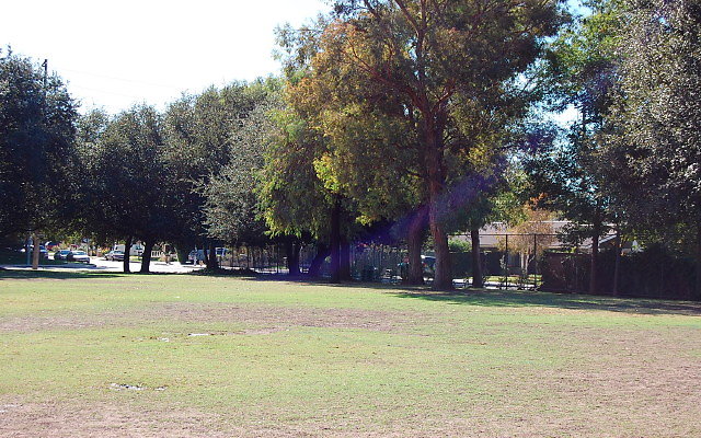DSC 0102
