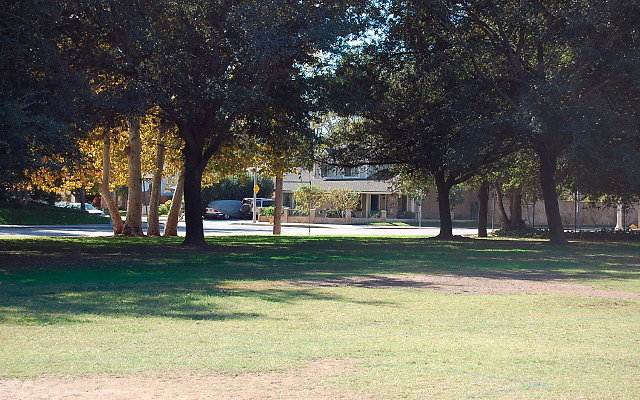 DSC 0110