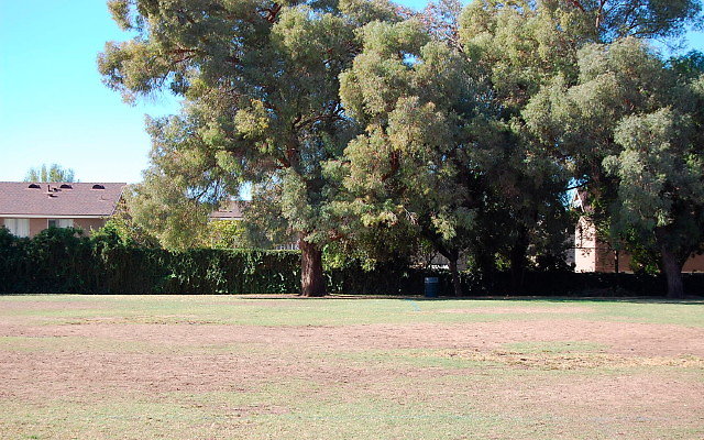 DSC 0089