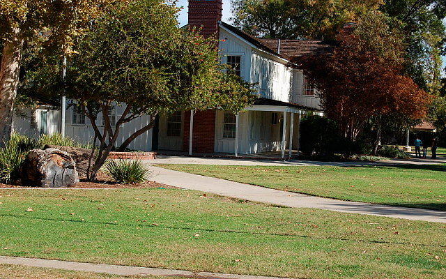 DSC 0114