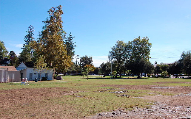 DSC 0093