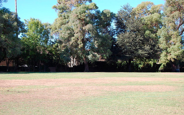 DSC 0090