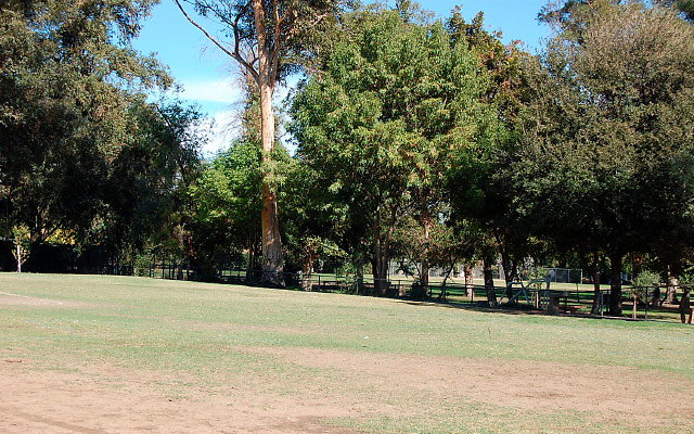 DSC 0109
