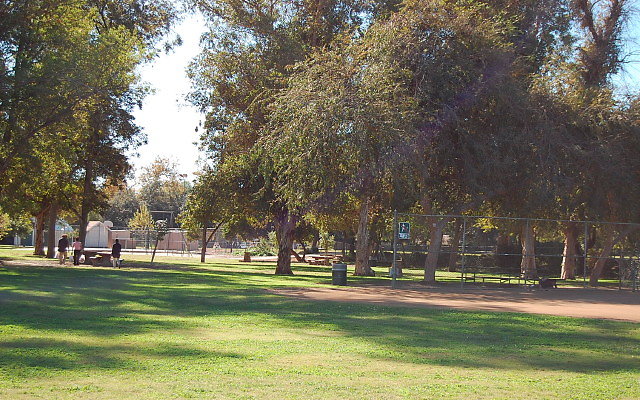 DSC 0072
