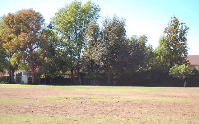 DSC 0088