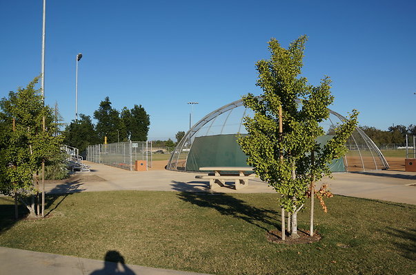 DSC00902