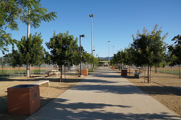 DSC00867