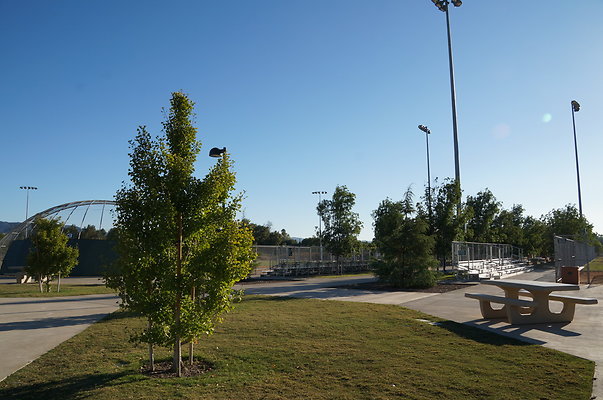DSC00895