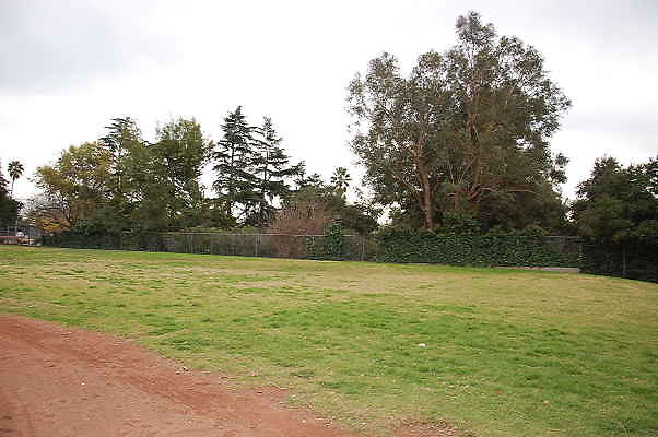 DSC 0451