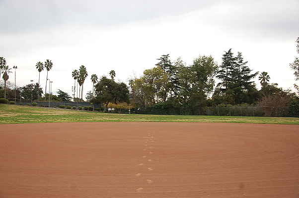 DSC 0462