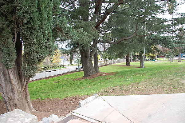 DSC 0441