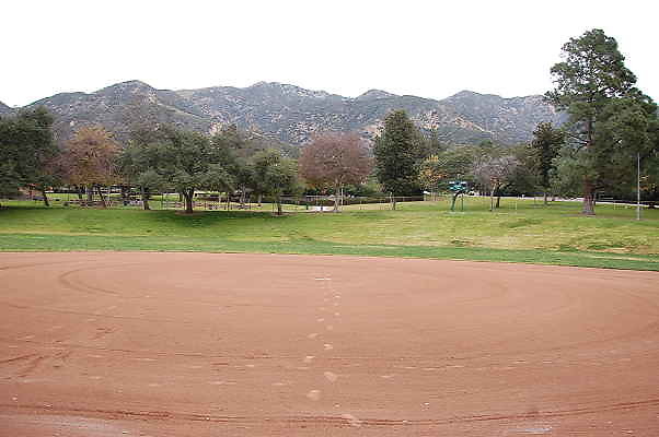DSC 0432