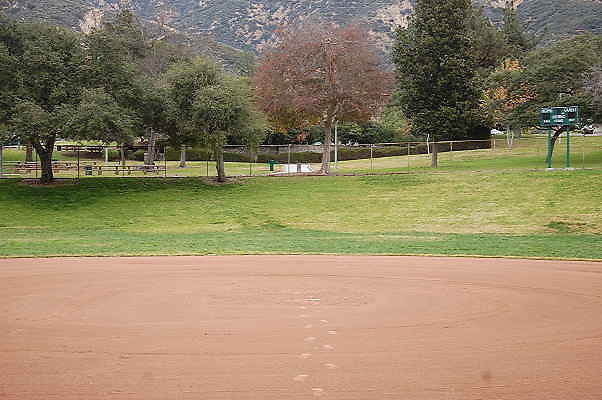 DSC 0435