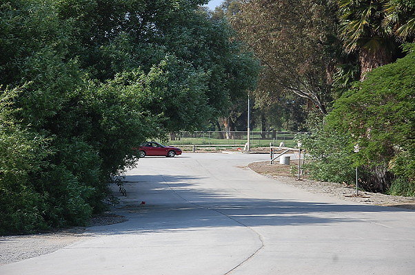 DSC 0259