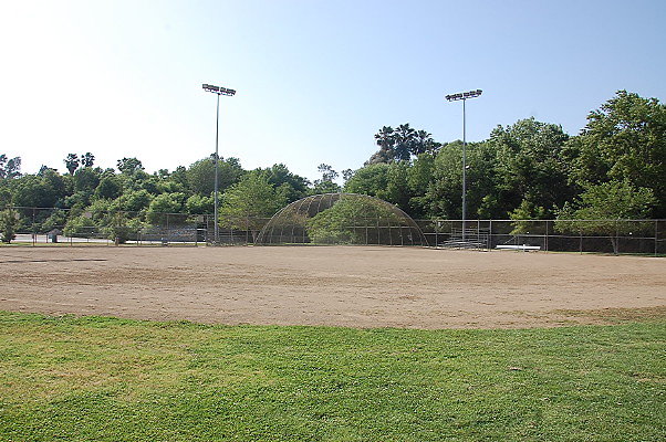 DSC 0224