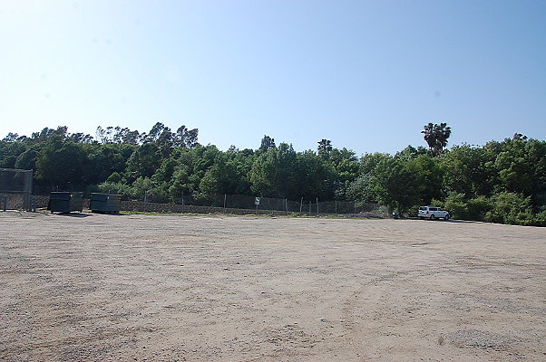 DSC 0255