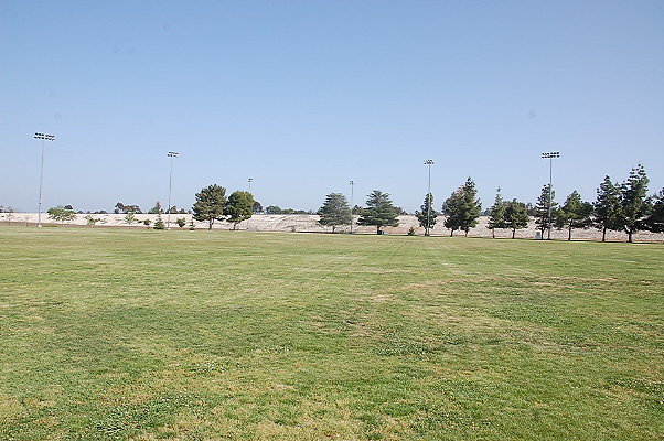 DSC 0230