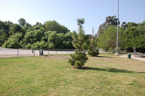 DSC 0219