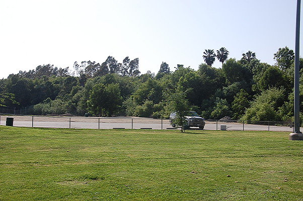 DSC 0249