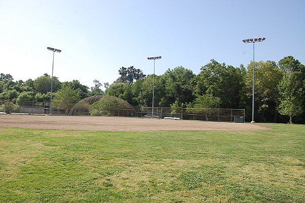 DSC 0246