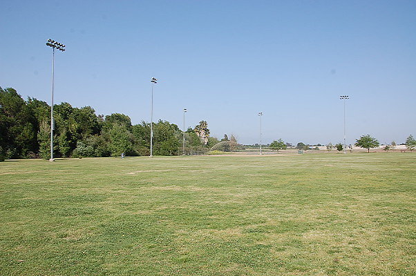 DSC 0229