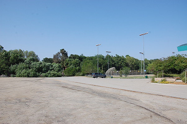 DSC 0250