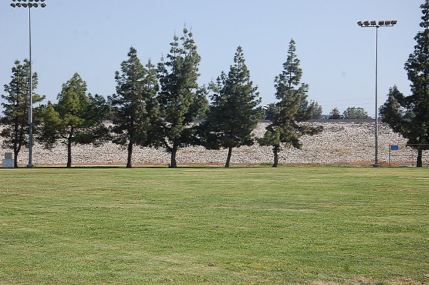 DSC 0240