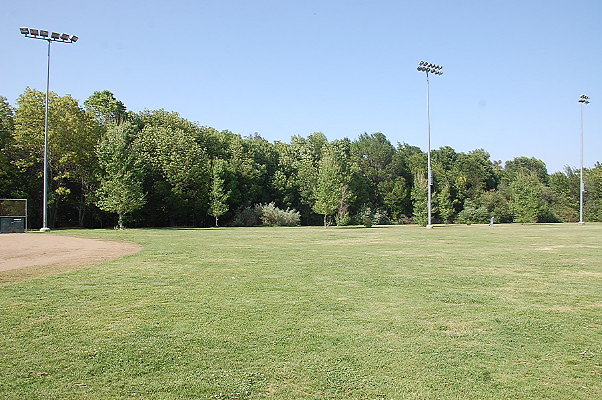 DSC 0225