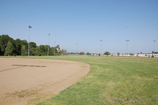 DSC 0221
