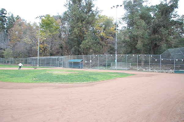 DSC 0513