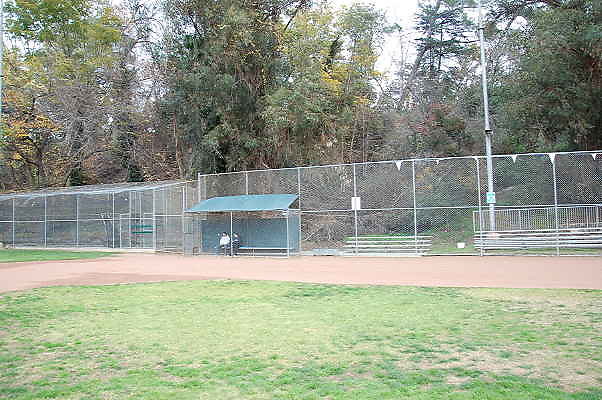 DSC 0517
