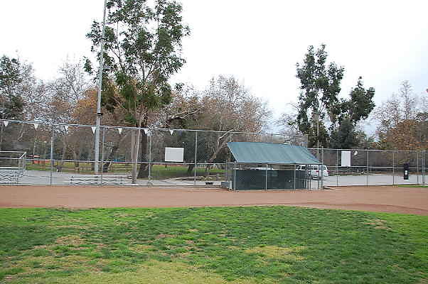 DSC 0519