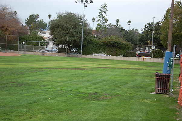 DSC 0491