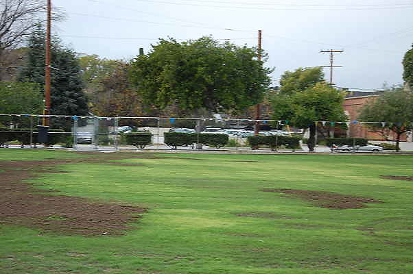 DSC 0492