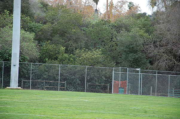 DSC 0499