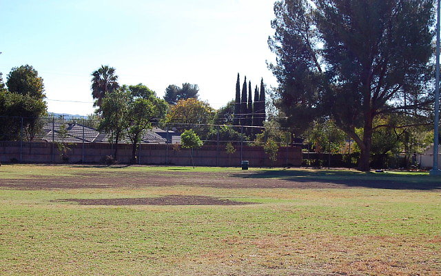 DSC 0314