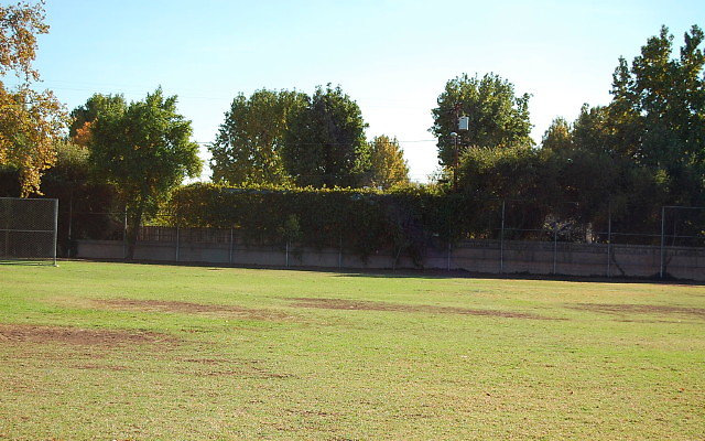 DSC 0313