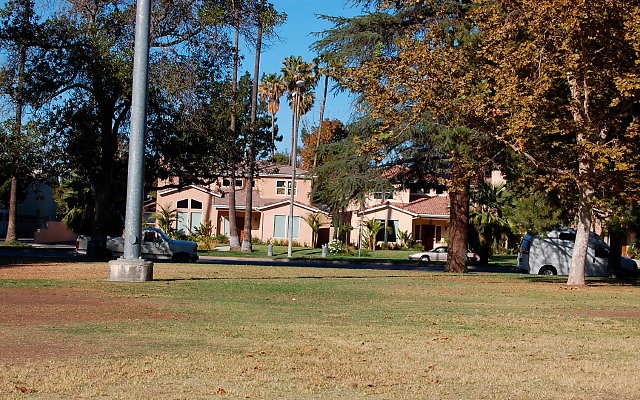DSC 0317