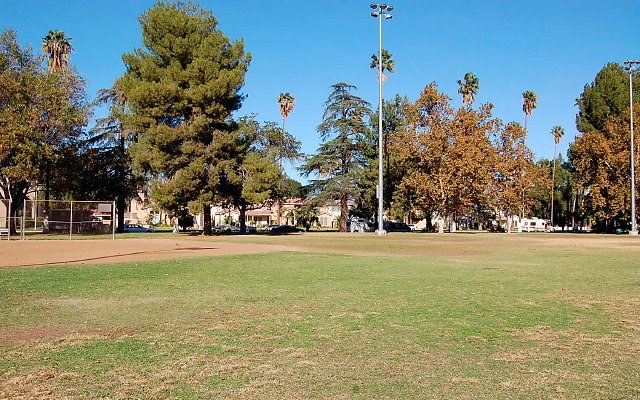 DSC 0296