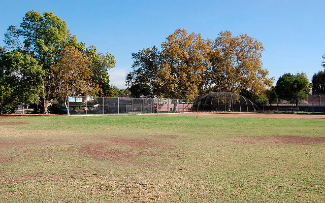 DSC 0309
