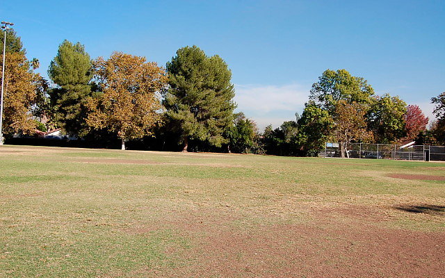 DSC 0297