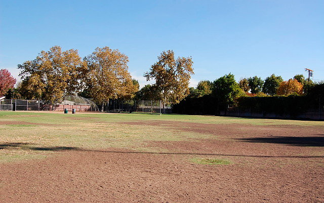 DSC 0298