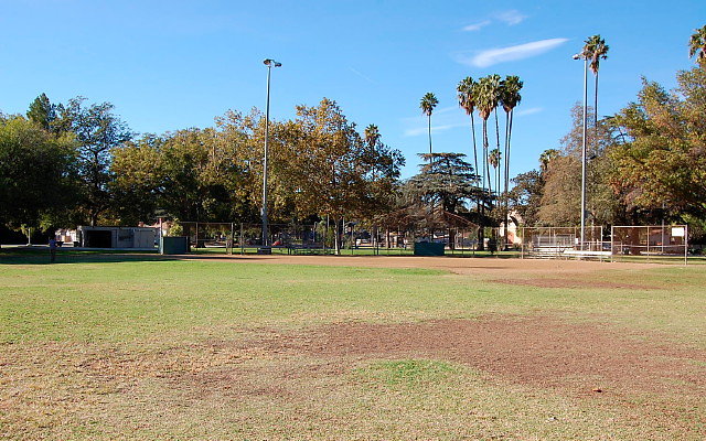 DSC 0302