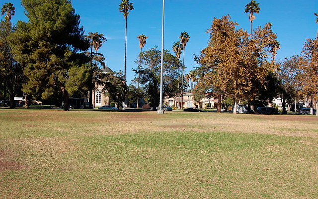DSC 0303