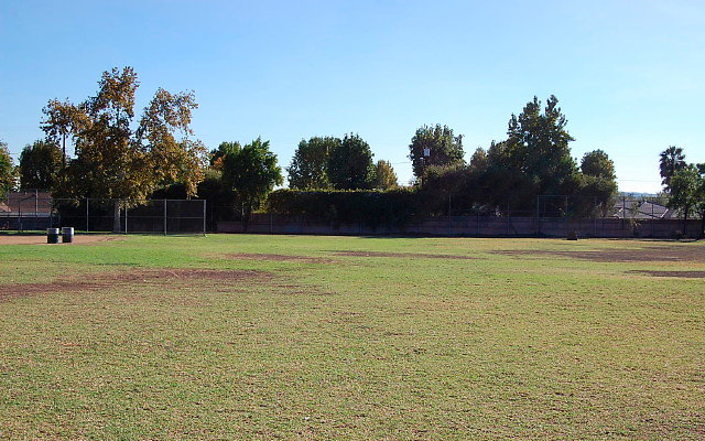 DSC 0310