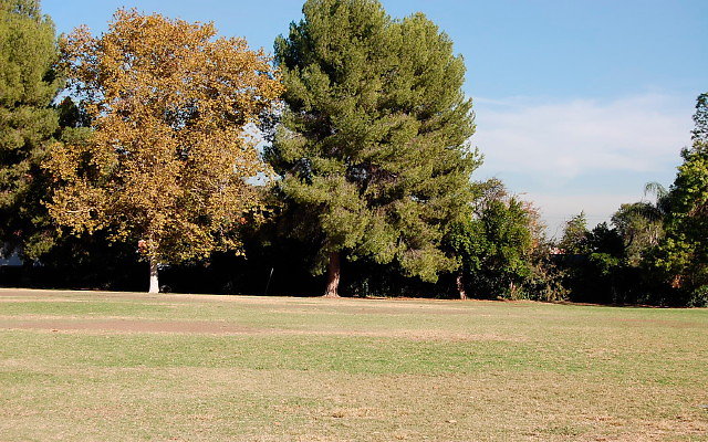 DSC 0300