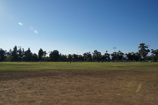DSC00833
