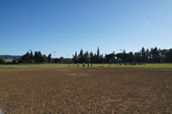 DSC00810